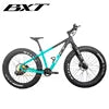 Full Carbon Fiber Mountain Bike 26er Complete Snow Bike Beach Sand Bicycles for Teenager Fat Wide Tyre 12 Speed