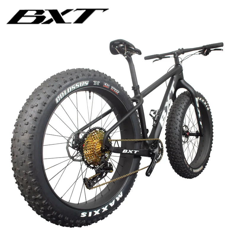Full Carbon Fiber Mountain Bike 26er Complete Snow Bike Beach Sand Bicycles for Teenager Fat Wide Tyre 12 Speed