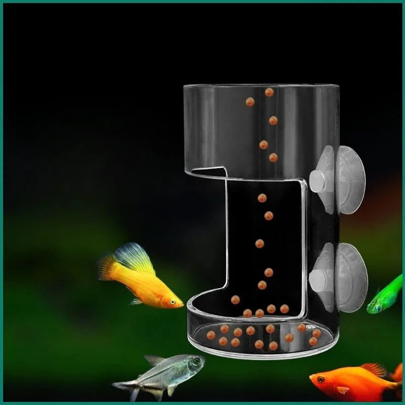 Anello Galleggiante per Alimentazione Pesci – Vassoio con Ventose per Acquario