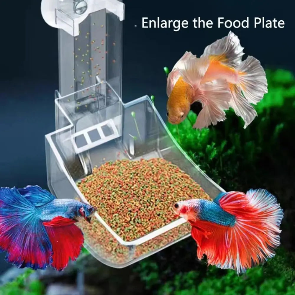 New Transparent Aquarium Fish Tank Feeder Tube Acrylic Fixed Point Fish Tank Food Dispenser with Suction Cup Durable Feeder Bowl